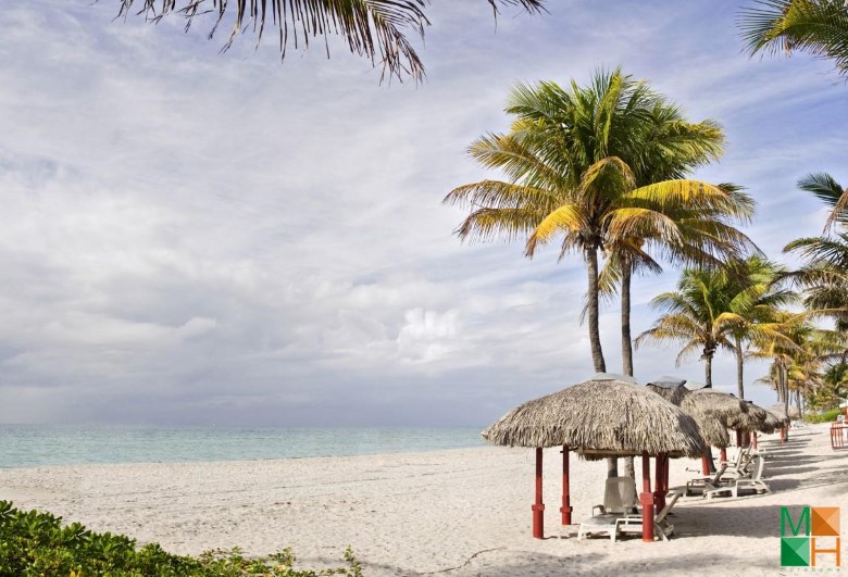 Tranh dán tường phong cảnh khổ lớn tại Hà Nội BE - 103